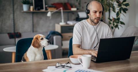 Man die aan laptop thuis werkt, met zijn hond naast hem op de stoel 